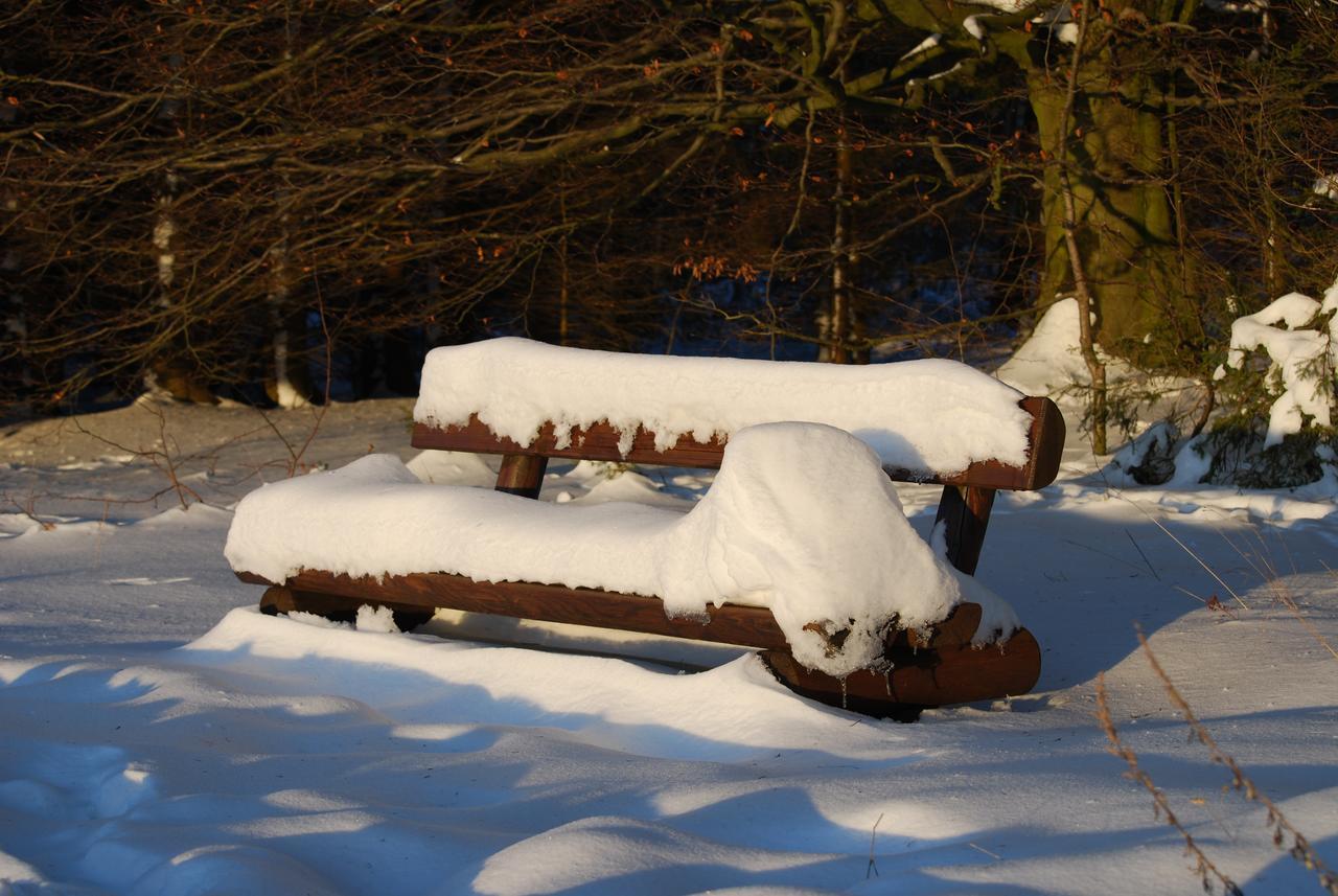 Hotel Waldhaus Foeckinghausen Bestwig Dış mekan fotoğraf